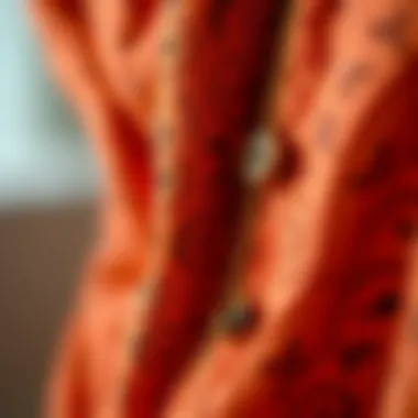 Exploring the Textures: Fabric Details of Ayrobin Ferace Close-up of intricate fabric details of ayrobin ferace