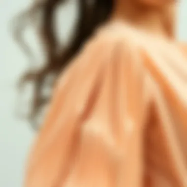 Detail of Pleats on Balloon Sleeve Dress Close-up of the intricate pleats on a stylish dress