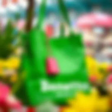 Functional Features of Benetton Green Bag Functional features of a Benetton green bag highlighted