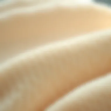 The Comfort of Plush Fabric Close-up of plush fabric showcasing softness