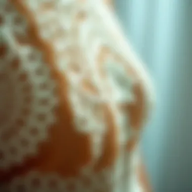 Intricate Lace Detailing that Captivates Close-up of intricate lace detailing