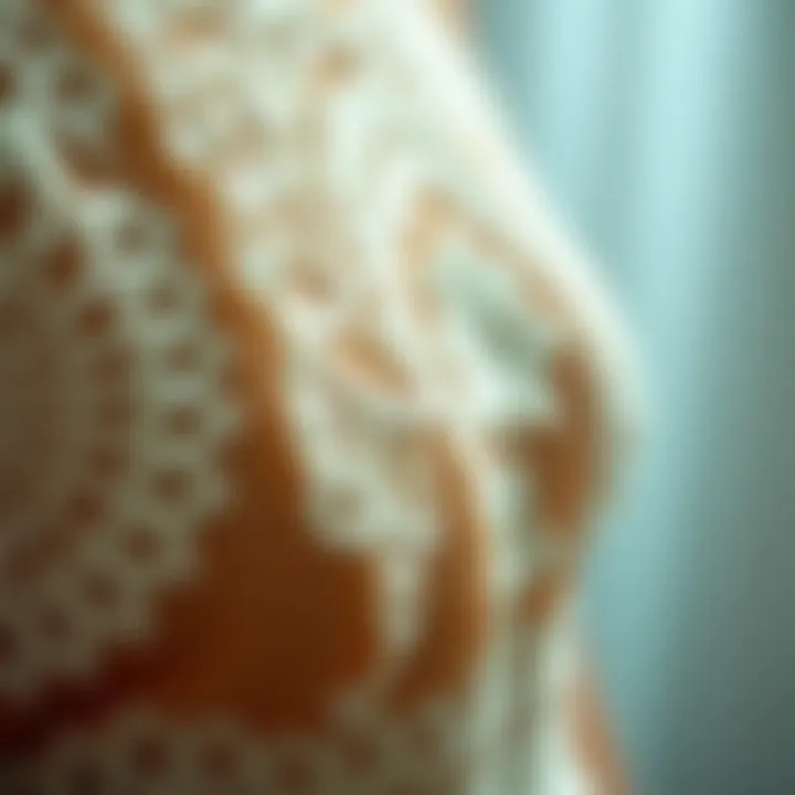 Intricate Lace Detailing that Captivates Close-up of intricate lace detailing