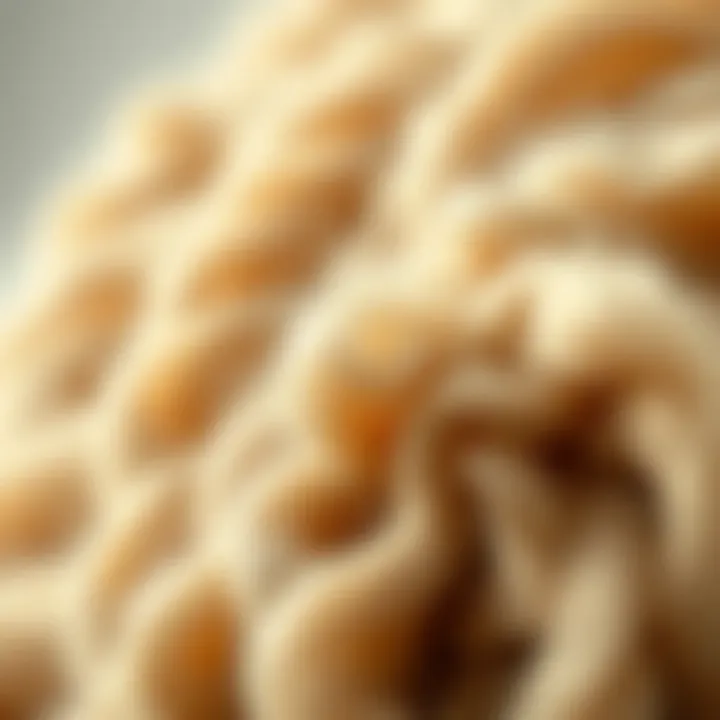Close-up of wool fabric showcasing texture
