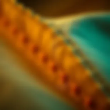 Fabric Texture and Craftsmanship Close-up of fabric texture and stitching