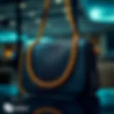 Elegantly styled black bag with gold chain accents