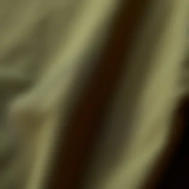 Details of Olive T-Shirt Fabric Close-up of the fabric and texture of an olive t-shirt