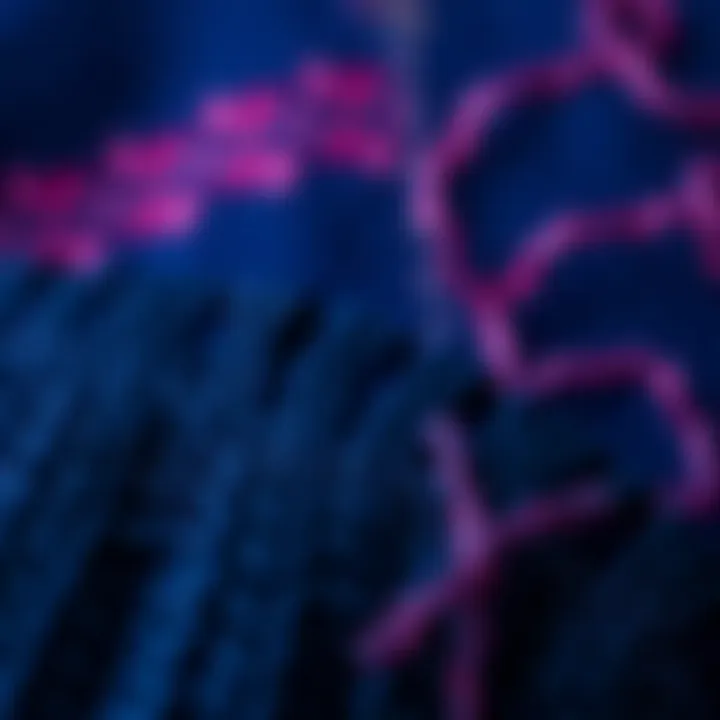 The Art of Knitting: Patterns that Captivate Close-up of intricate knit patterns on navy fabric