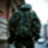 Historical evolution of camouflage patterns