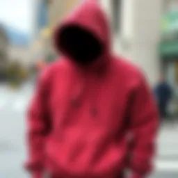 Fashionable hoodie sweatshirt showcasing a modern style