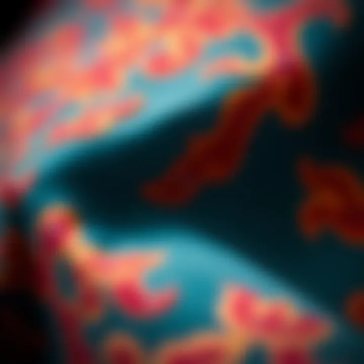 Quality Craftsmanship: Kayra Coat Materials Close-up of Kayra coat fabric and detailing