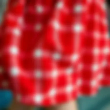 A close-up of the fabric texture of a red checkered skirt