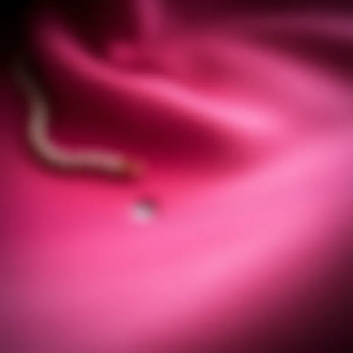 Quality of Handbag Materials A close-up of fine materials used in handbag production, highlighting texture