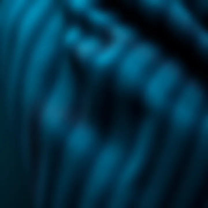 Quality Fabric Details of the Coat Close-up of fabric texture showcasing the quality of the coat