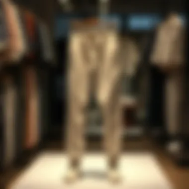 Elegant and stylish linen sweatpants on display