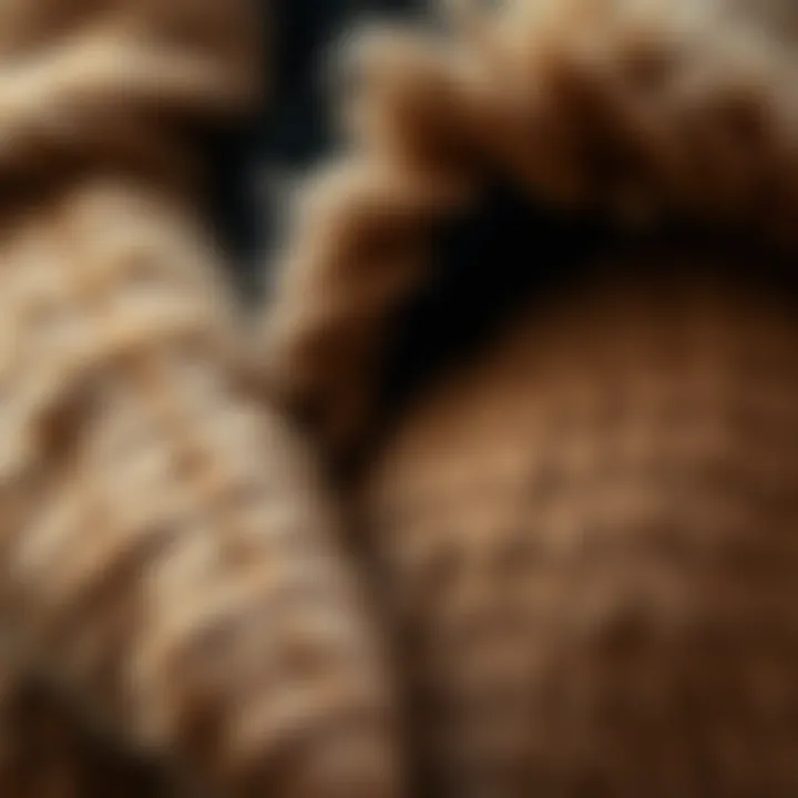 Luxurious Fabric and Details Close-up of luxurious fabric and fur details on a modest coat