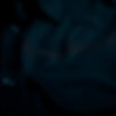 High-Quality Fabric of Pierre Cardin Black Shirt Close-up of high-quality fabric of a Pierre Cardin black shirt