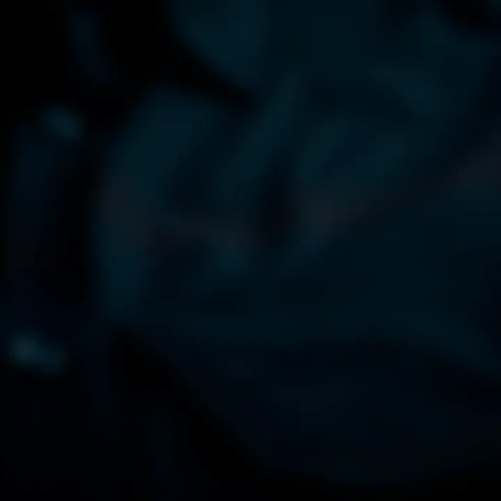 High-Quality Fabric of Pierre Cardin Black Shirt Close-up of high-quality fabric of a Pierre Cardin black shirt