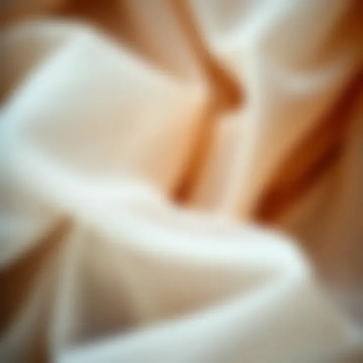 The Textural Beauty of Tulle Close-up of intricate tulle fabric showcasing its texture