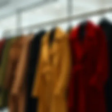Diverse Designs in Focus Seasonal display of various velvet trench coat designs
